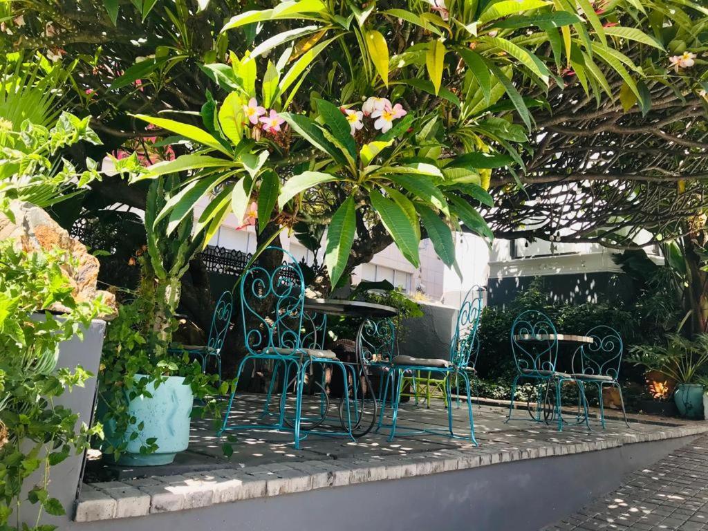 Moy Guesthouse & Backpackers Cape Town Exterior photo